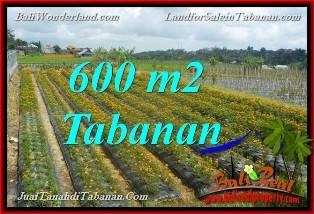 TANAH DIJUAL di TABANAN BALI 600 m2  view kebun dan Gunung