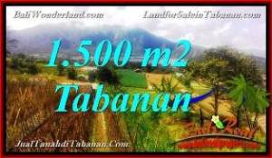 TANAH MURAH di TABANAN 15 Are View Danau Beratan dan Gunung