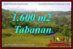 TANAH MURAH di TABANAN 16 Are View gunung dan sawah