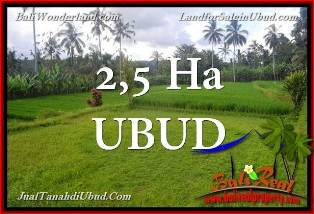 TANAH MURAH di UBUD BALI DIJUAL 25,000 m2 di Ubud Payangan