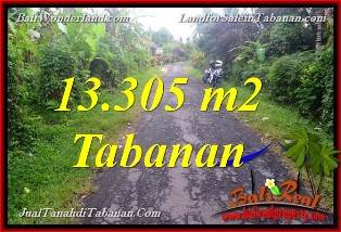 TANAH MURAH di TABANAN BALI DIJUAL 133.05 Are di Tabanan Selemadeg