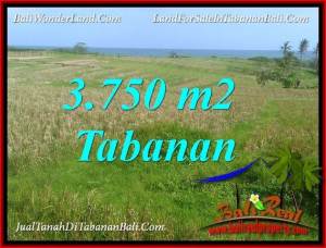 DIJUAL MURAH TANAH di TABANAN 37.5 Are di TABANAN SELEMADEG