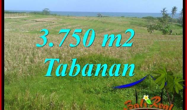 TANAH MURAH DIJUAL DI TABANAN BALI 3,750 m2  VIEW LAUT, GUNUNG DAN SAWAH