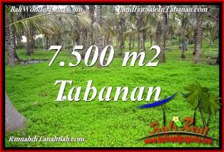 JUAL TANAH DI TABANAN BALI 7,500 m2  VIEW KEBUN, LINGKUNGAN VILLA